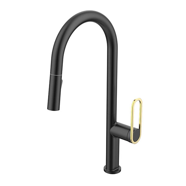 Kitchen Faucet